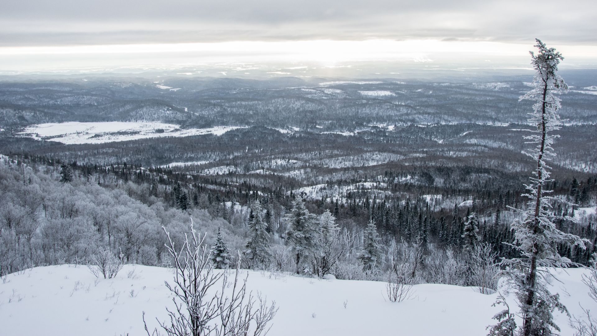 File:2016-12 Monts Valin winter 09.jpg