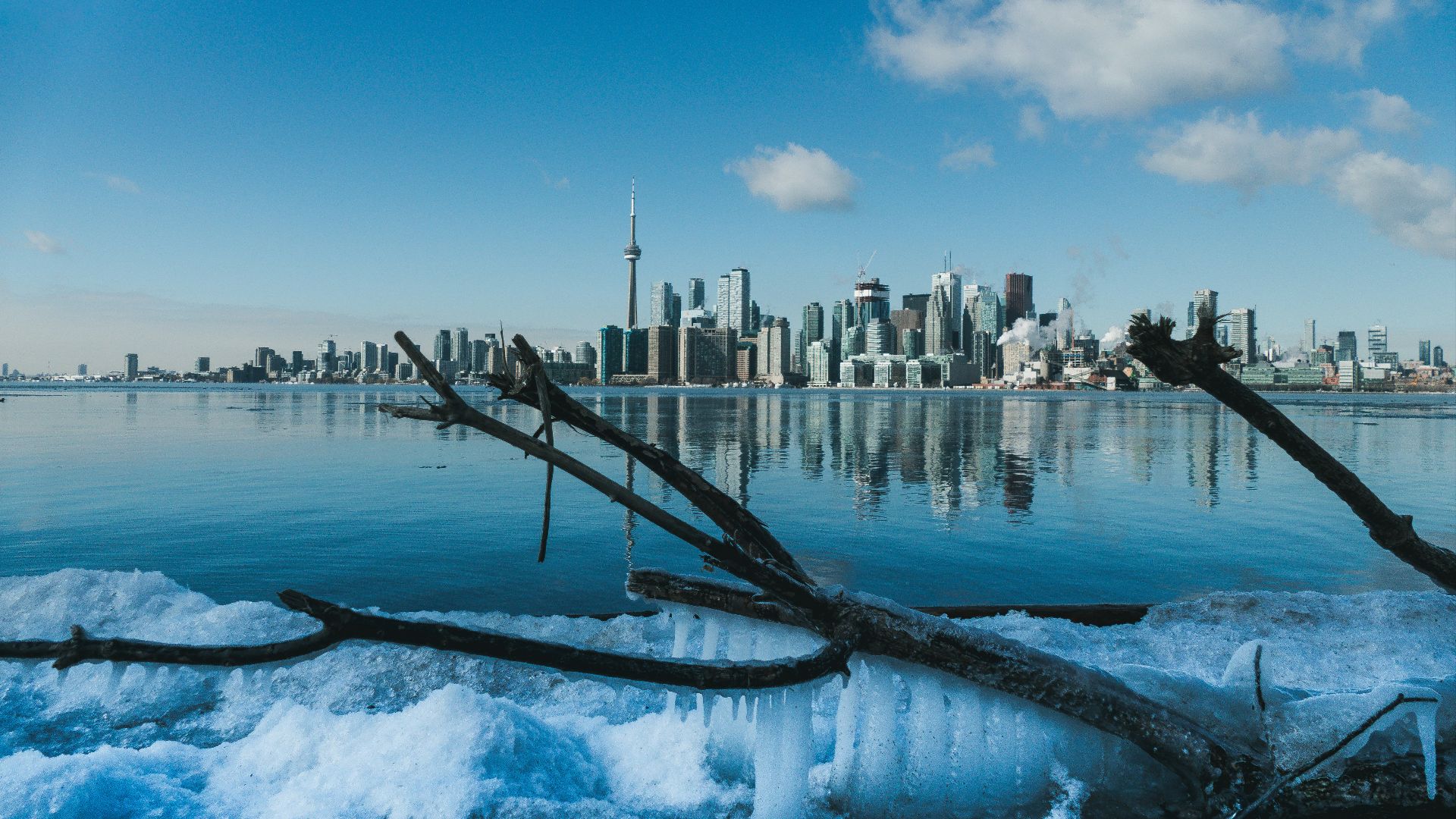 body of water near city buildings during daytime