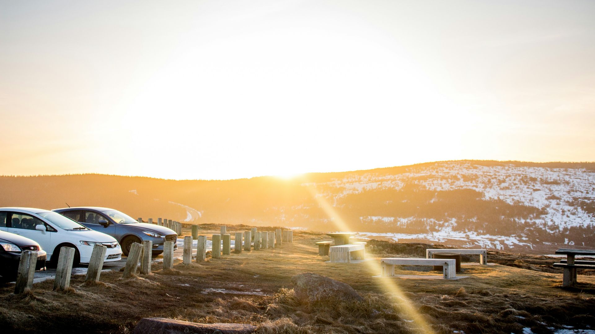 white car on road during daytime