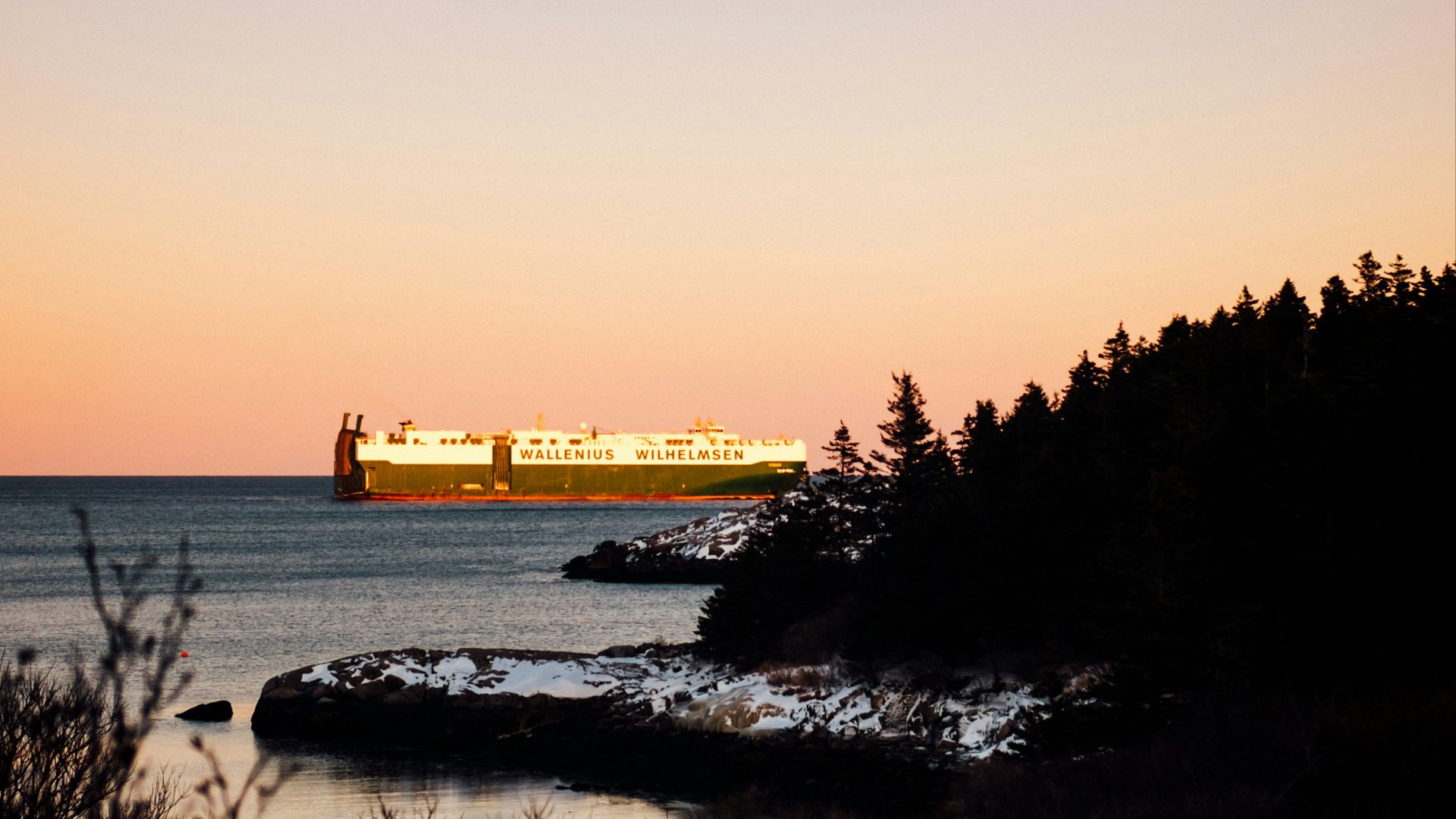 cruise ship on the ocean near island