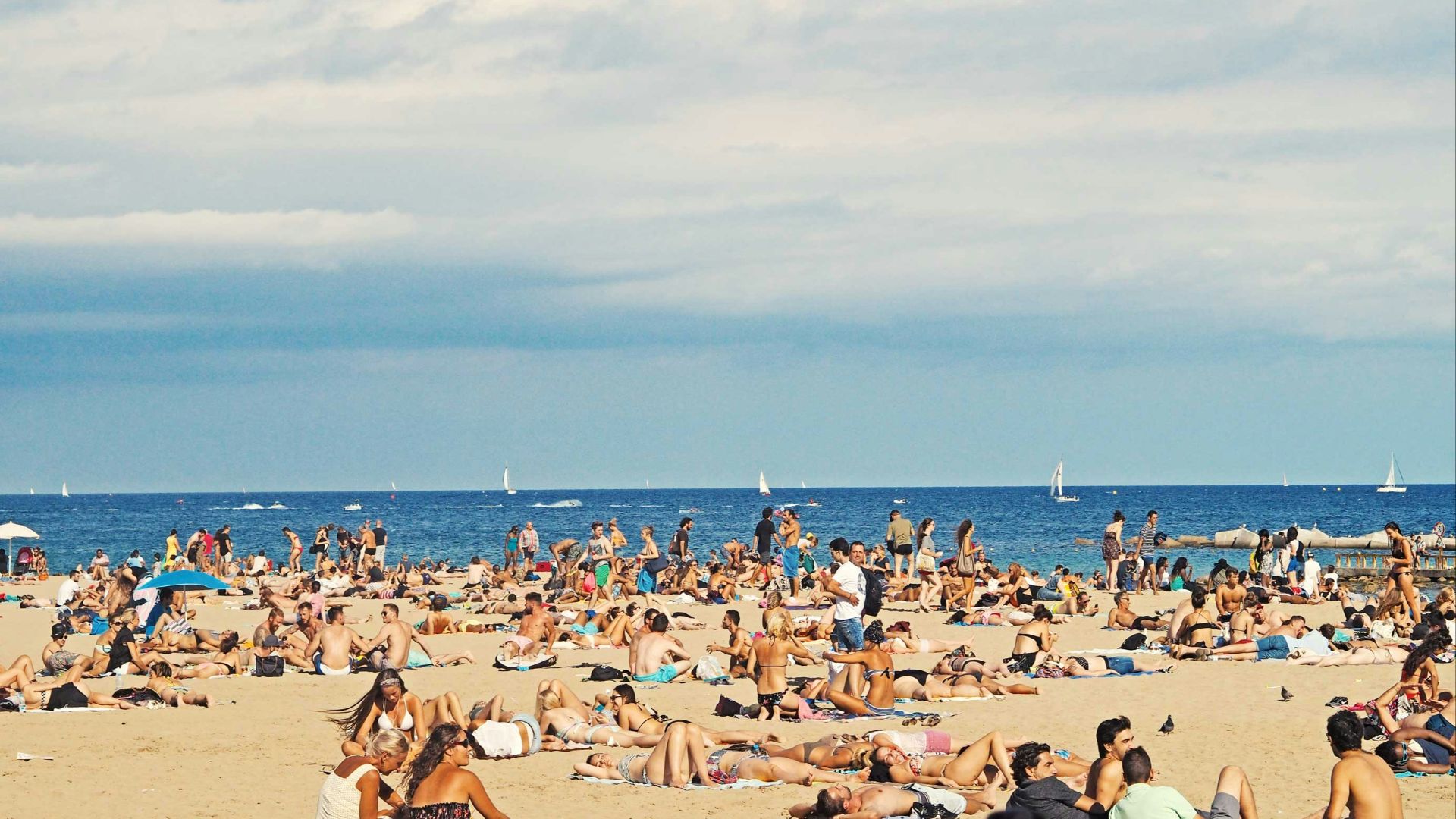 people on brown sand beach