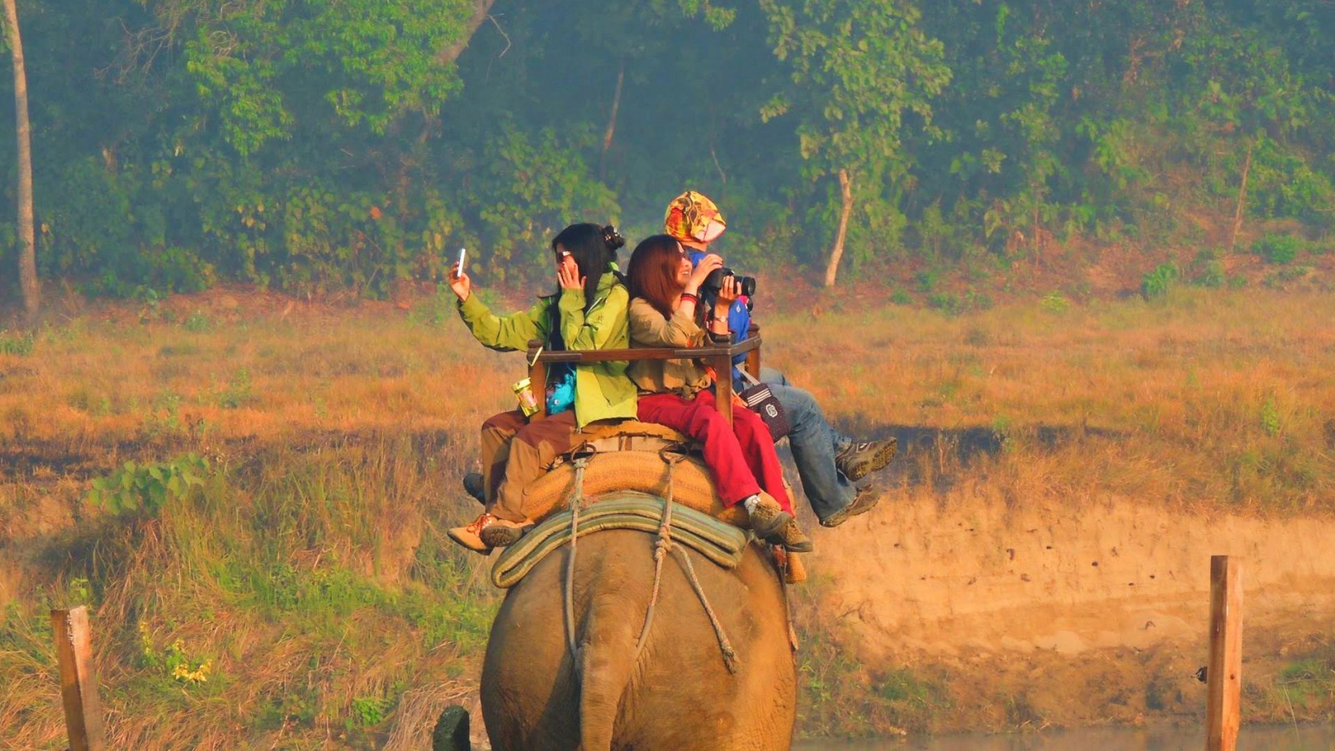 four person riding elephant during daytime