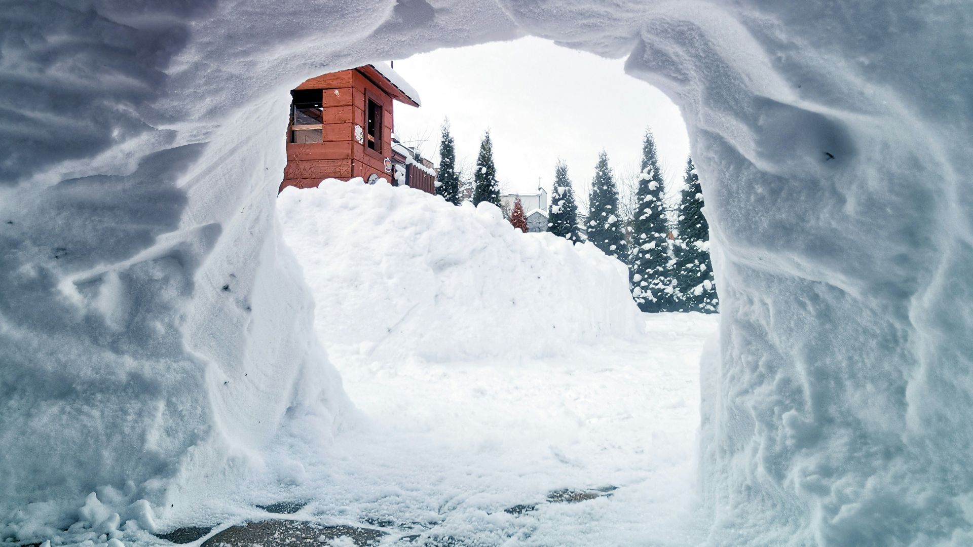 brown wooden house in snow covered ground