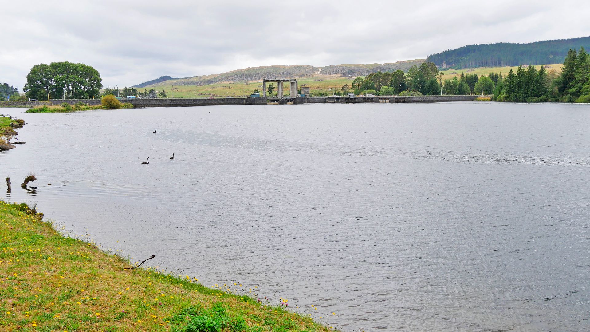 File:Lake Whakamaru.jpg
