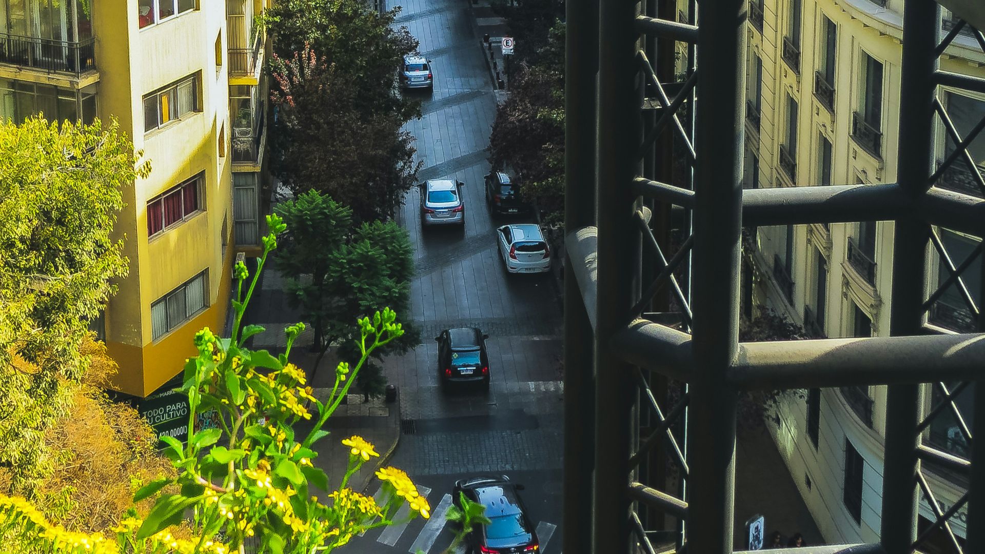 cars parked on side of road near buildings during daytime