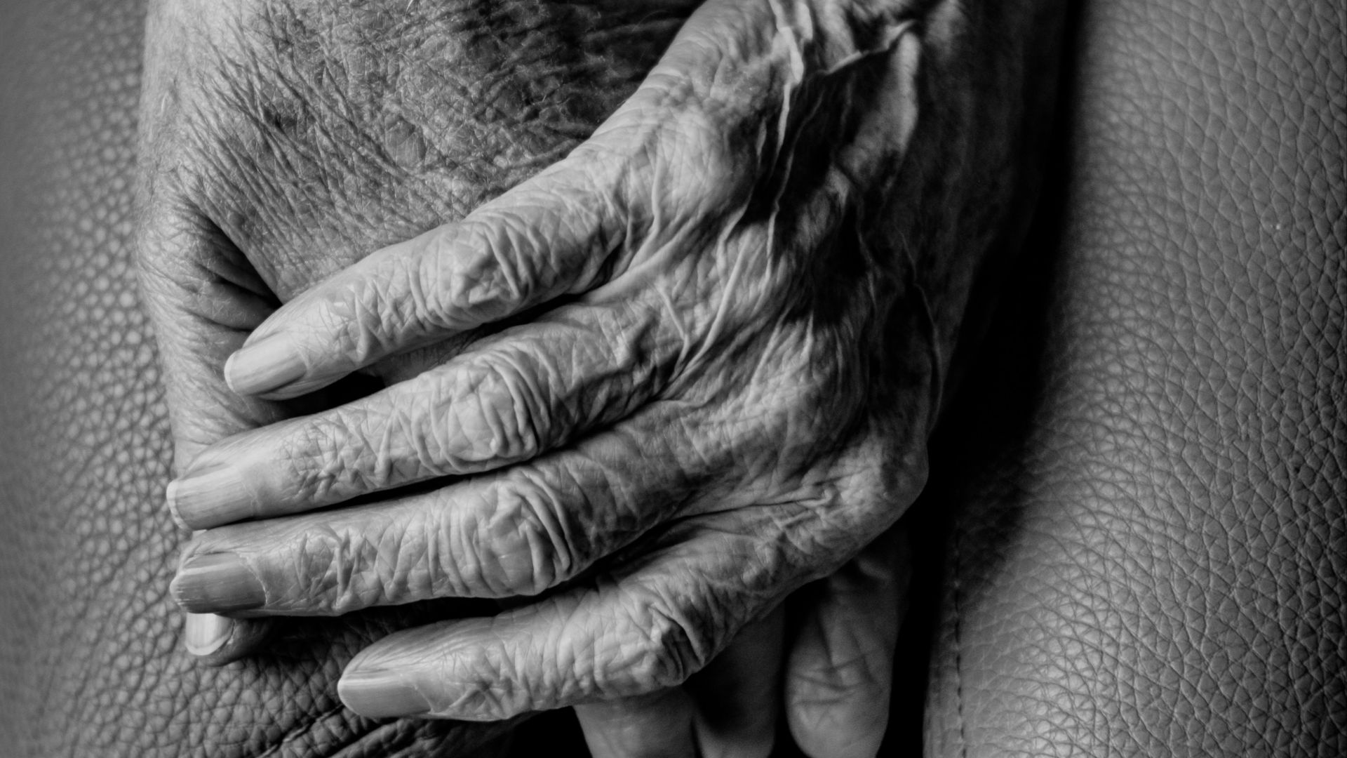 grayscale photography of human hands