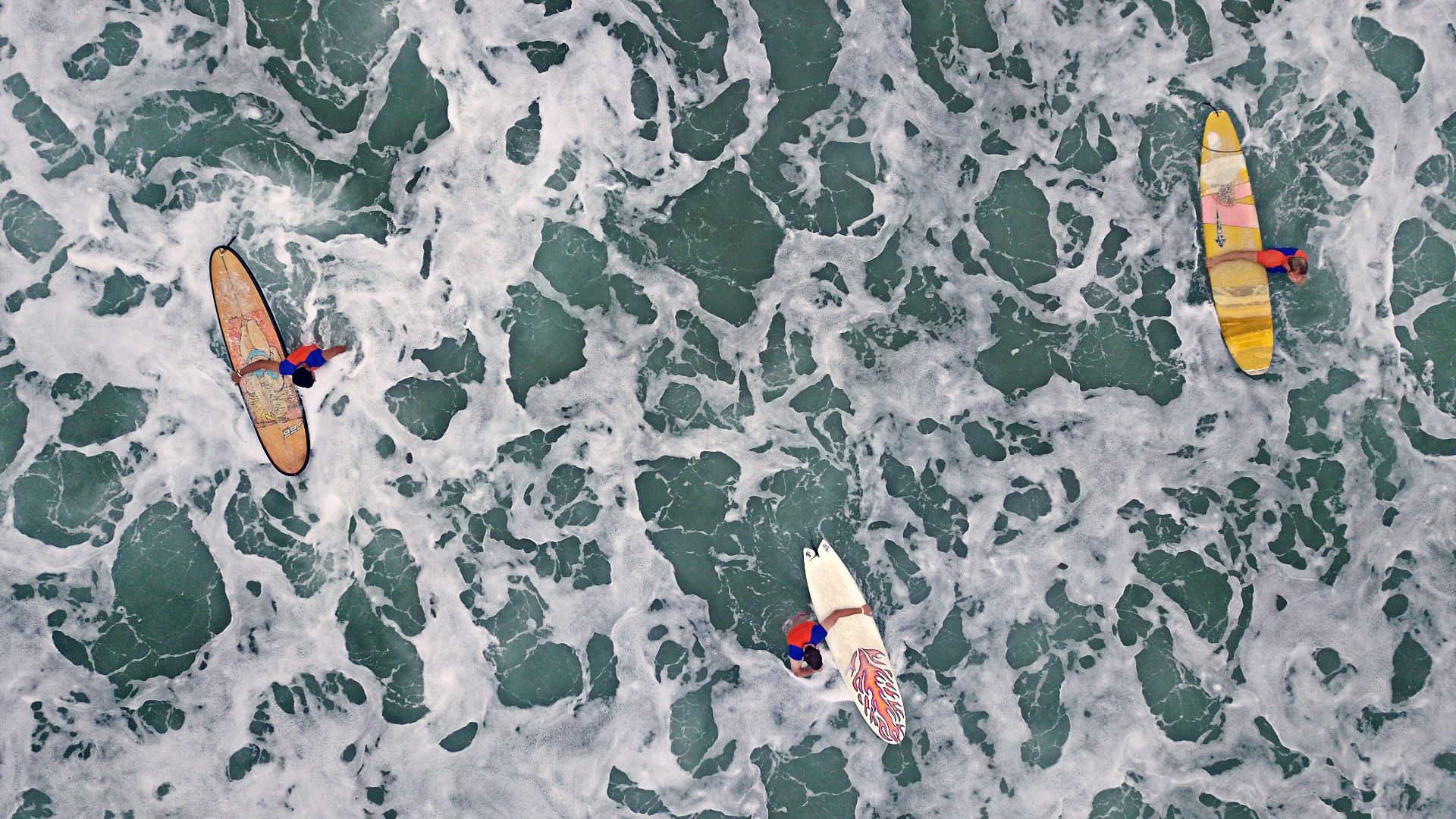 aerial view of people carrying surfboards