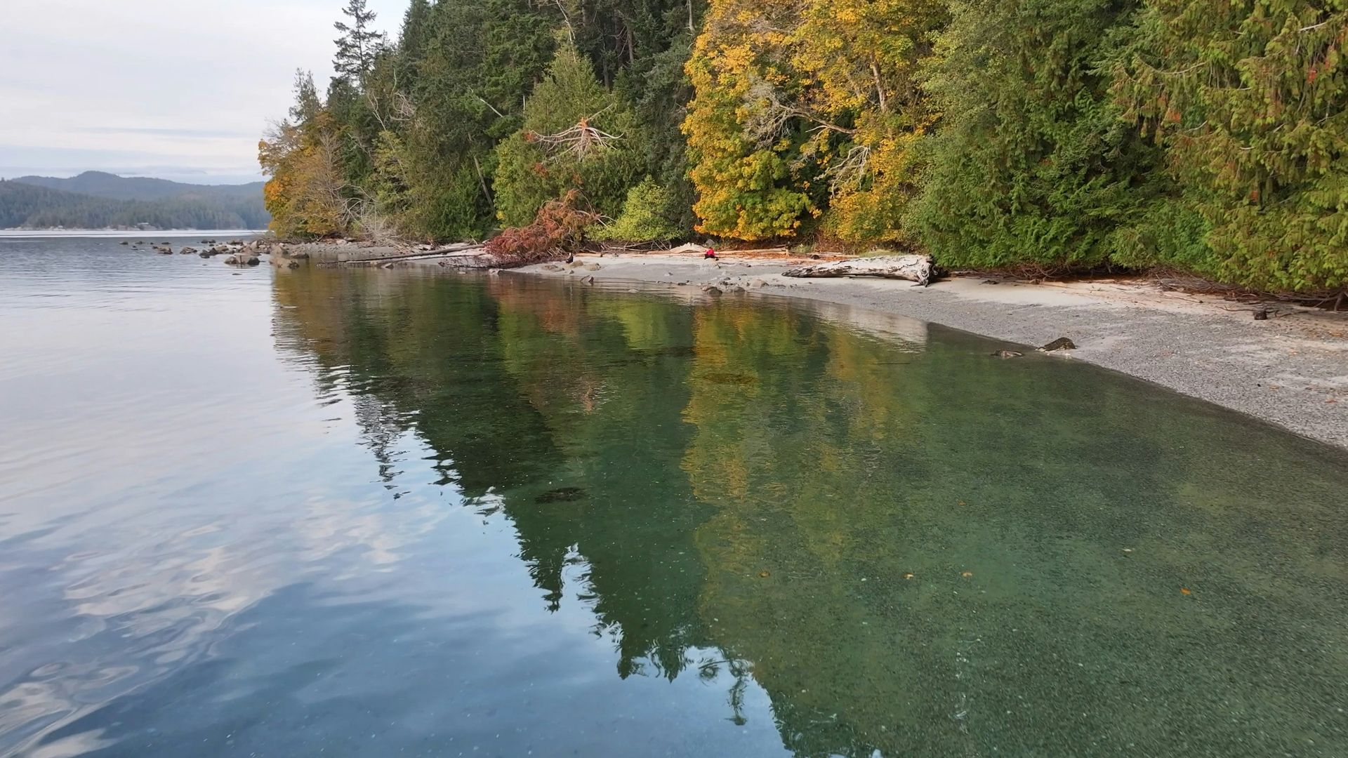 a body of water surrounded by trees