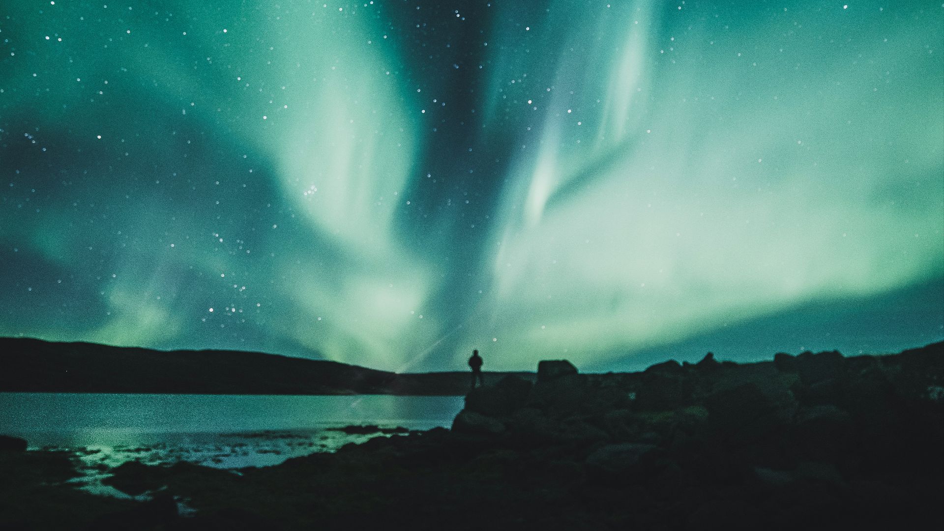 person standing near body of water during aurora northern sky