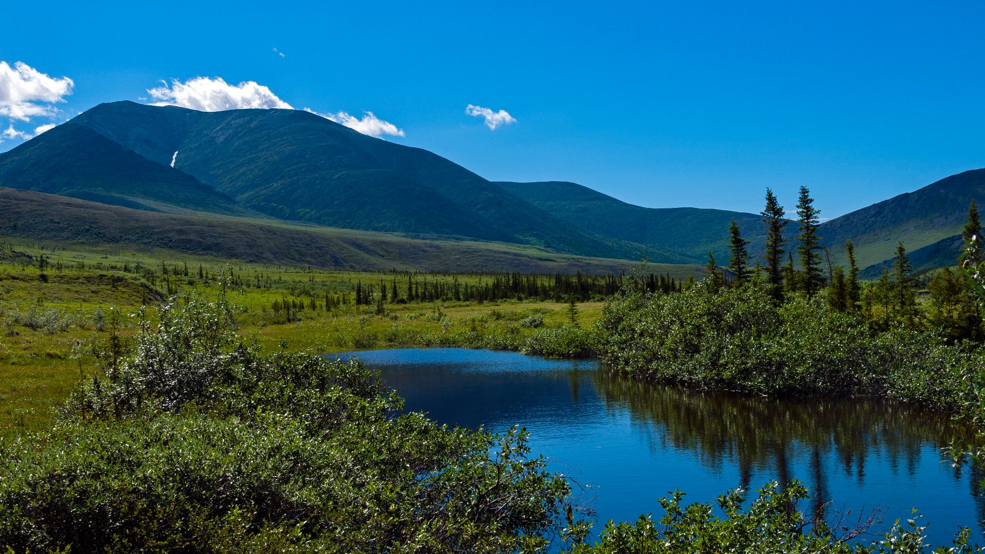 File:Tundra landscape with mountains and small pond, Ivvavik National Park, YT.jpg