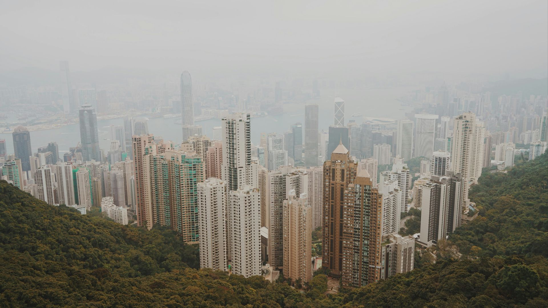 high-angle view of high-rise buildings