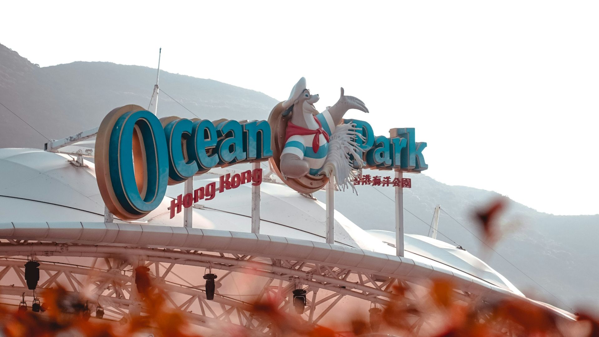 people walking on ice field during daytime