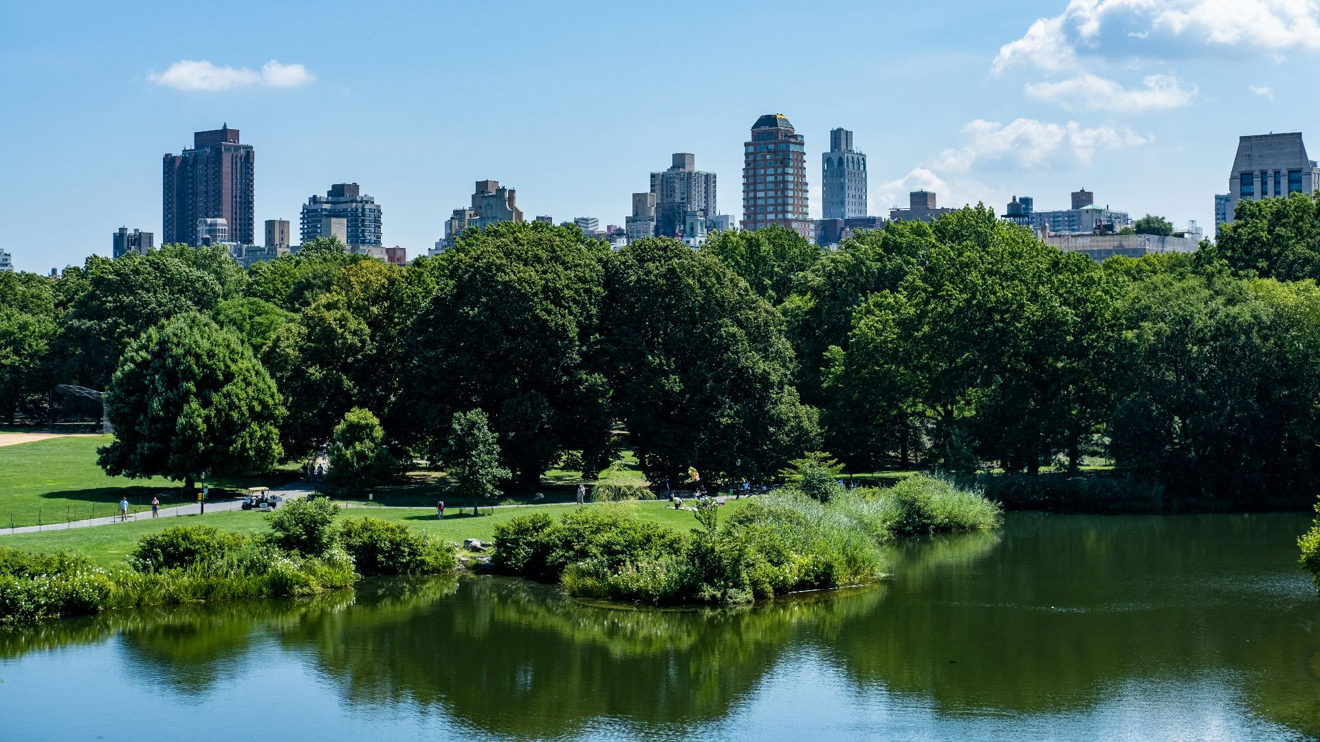 a park with trees and a body of water with a city in the background