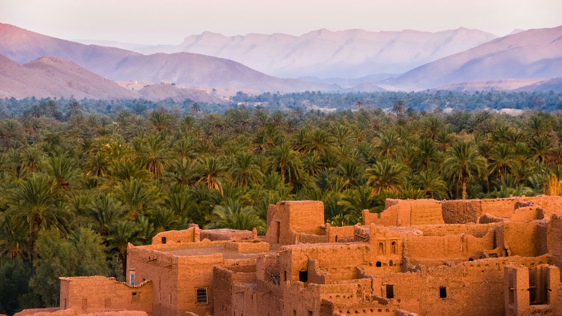 concrete houses surrounded by trees