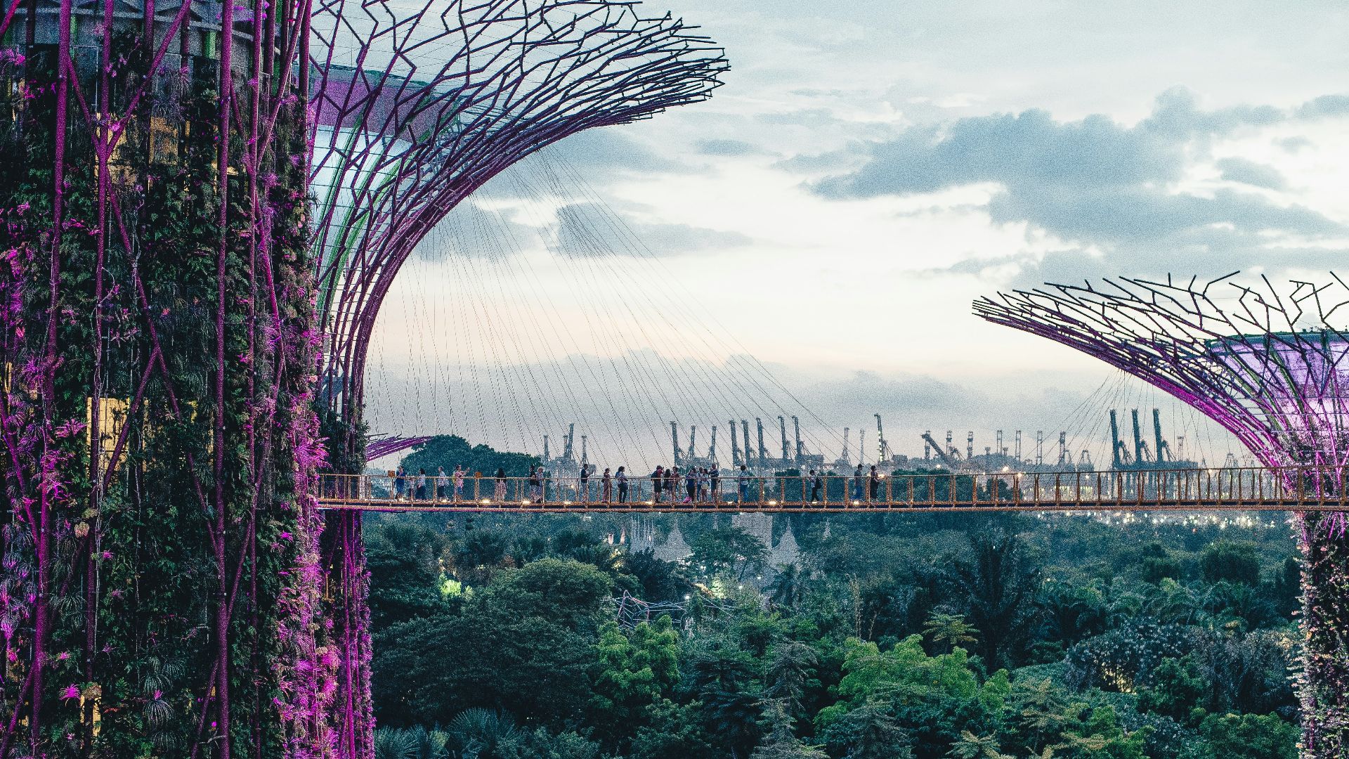 Gardens by the Bay, Singapore
