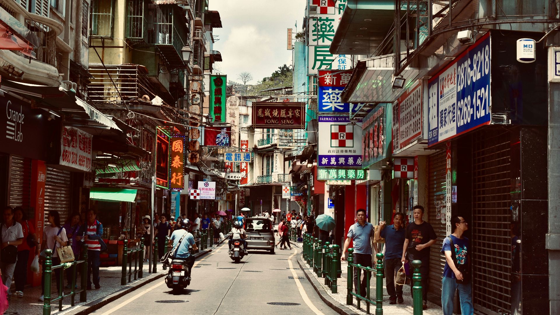 people on street during daytime