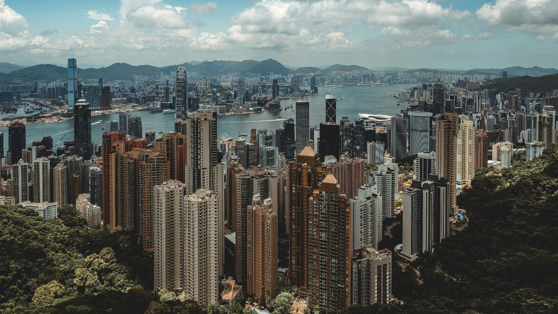 aerial view of cityscape