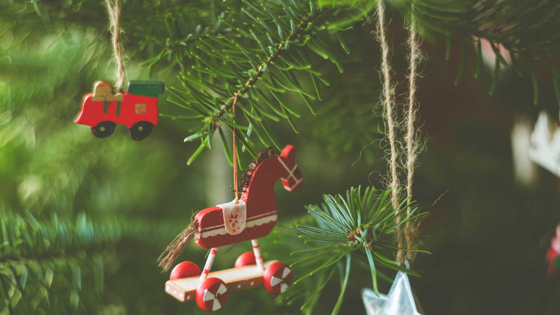 red and white plastic toy on green pine tree