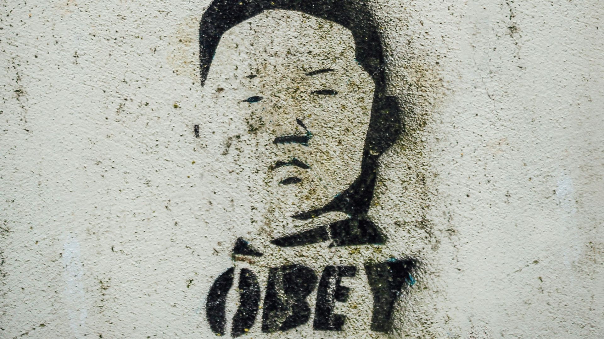 black and white human face drawing