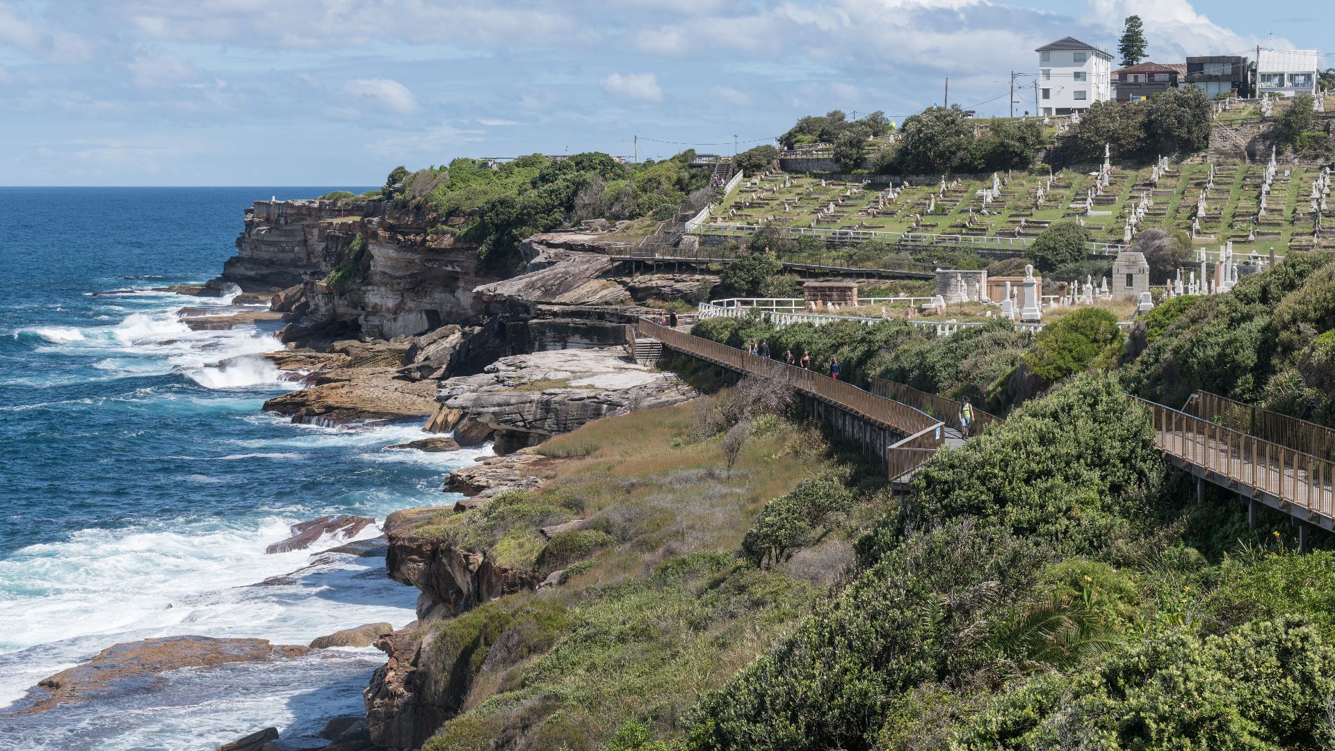 File:Waverley Cemetery, Bronte, north view 20230224 1.jpg