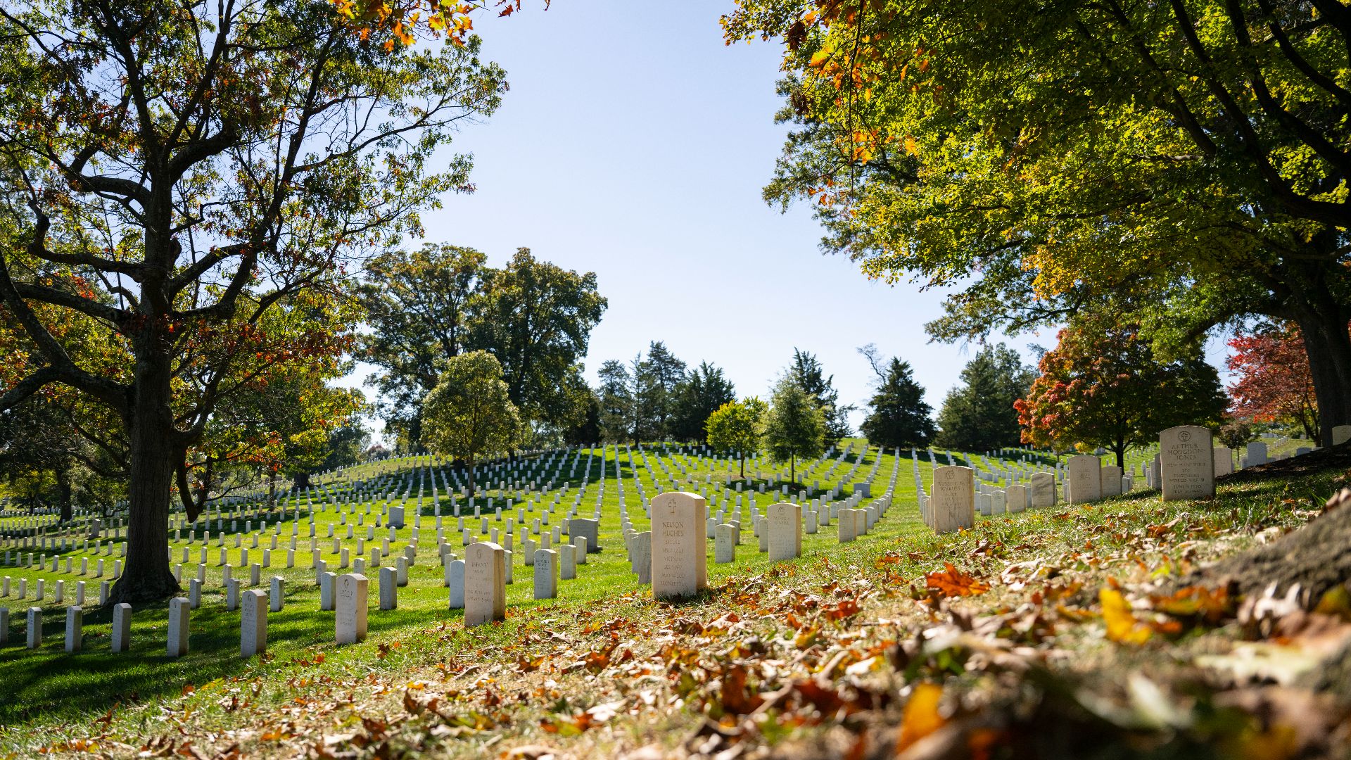 File:Fall Foliage at Arlington National Cemetery, Arlington, Virginia, October 21, 2024 13.jpg
