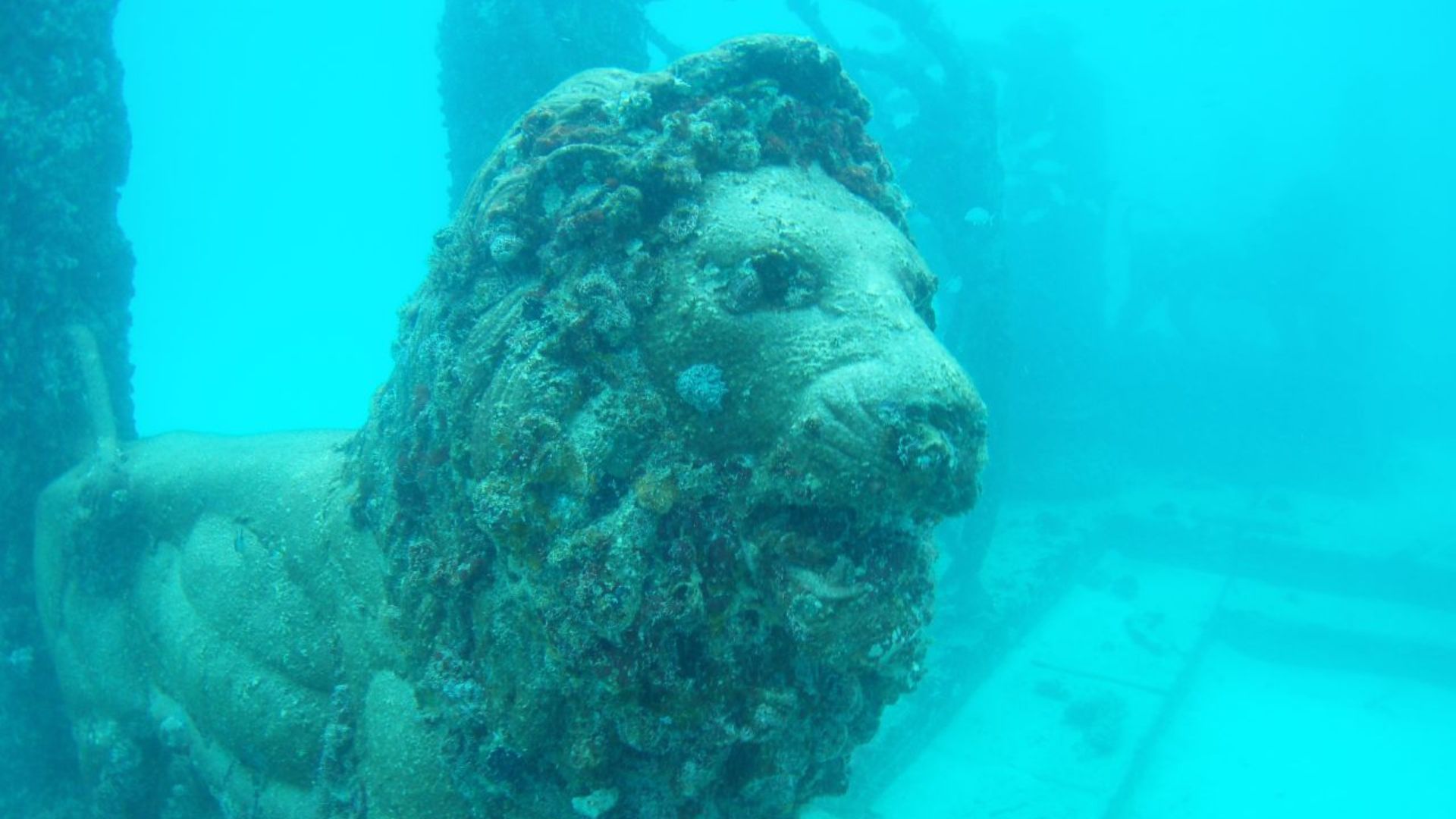 File:Neptune memorial reef 05.jpg