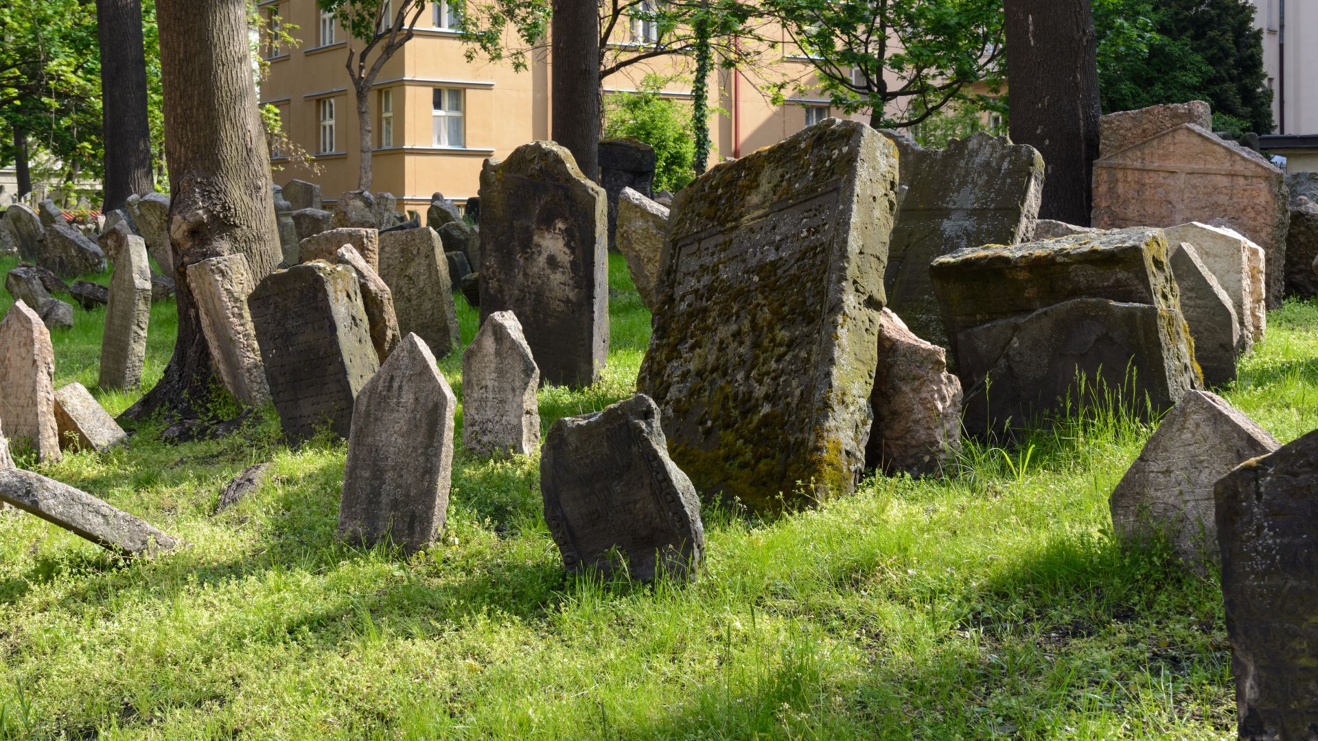 File:Praha Old Jewish Cemetery 20170501 02.jpg