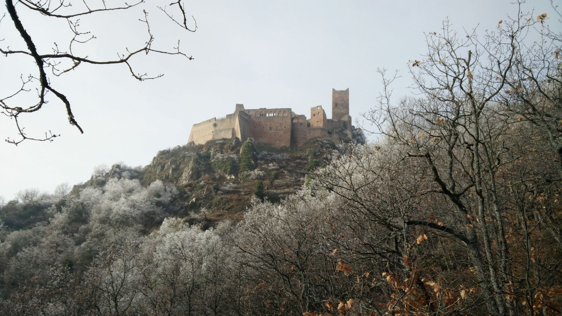 File:Château de Saint-Ulrich-13.jpg