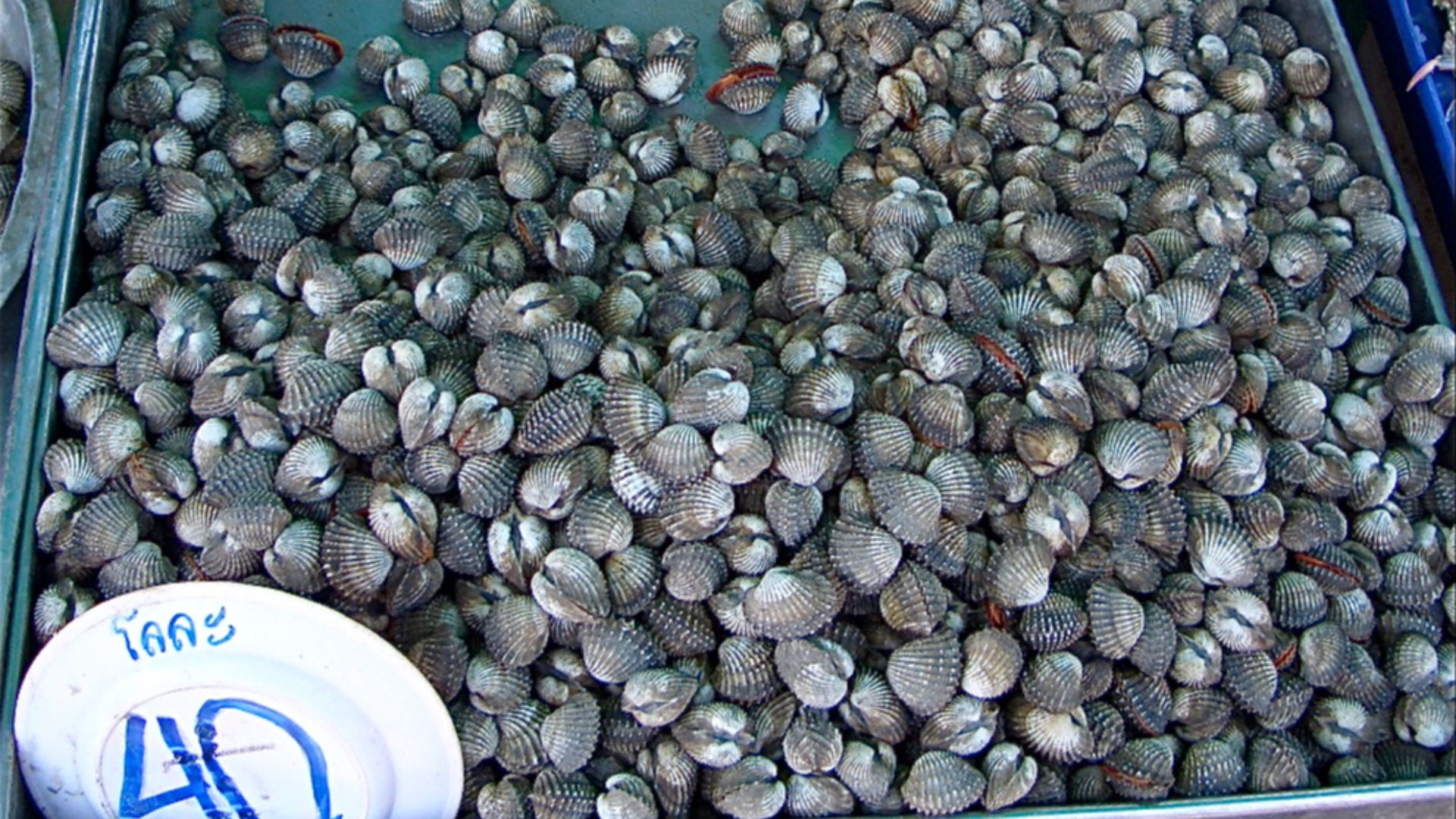 File:197 - CIMG0830.jpg