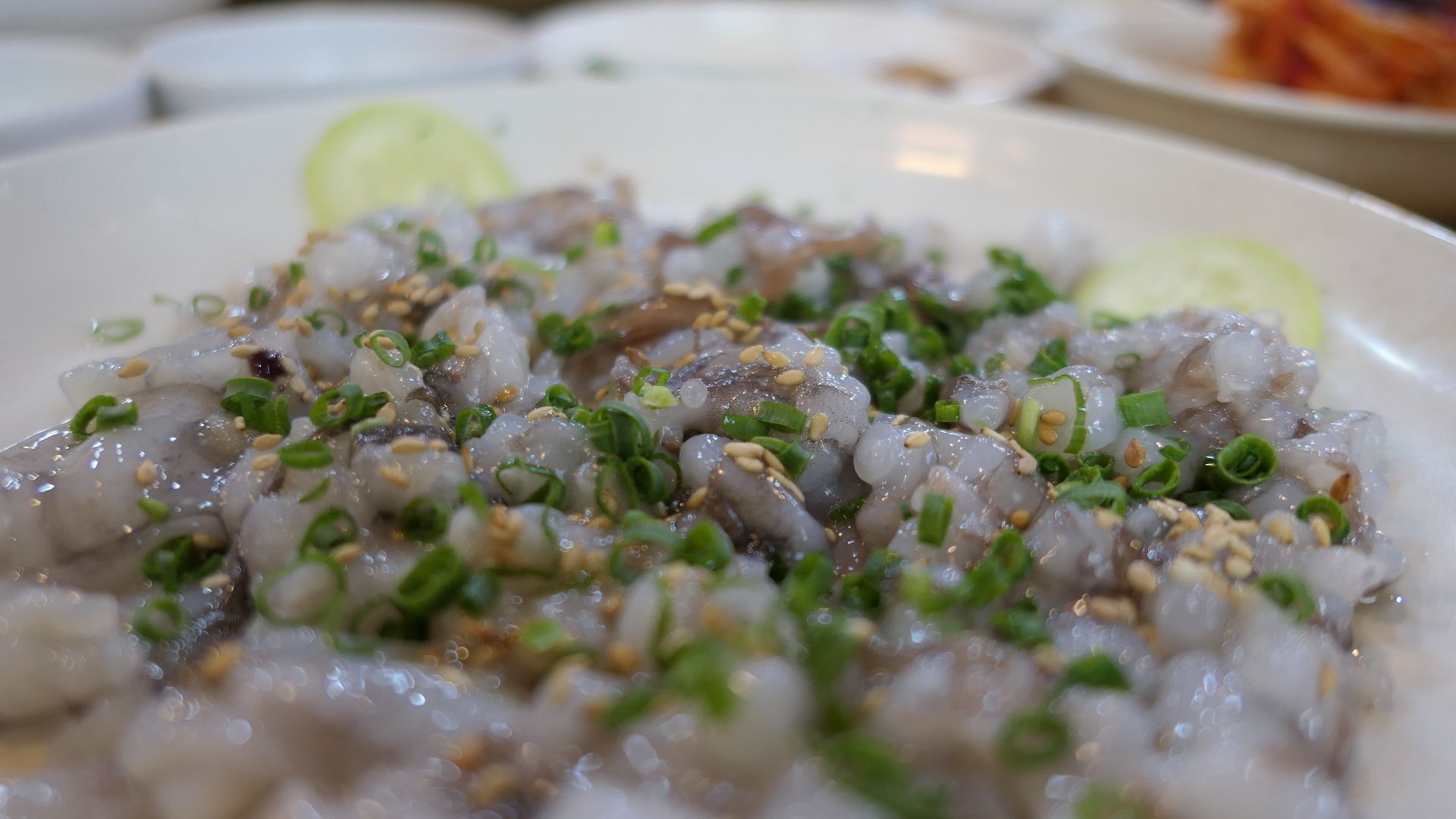 File:San-nakji (31896887571).jpg