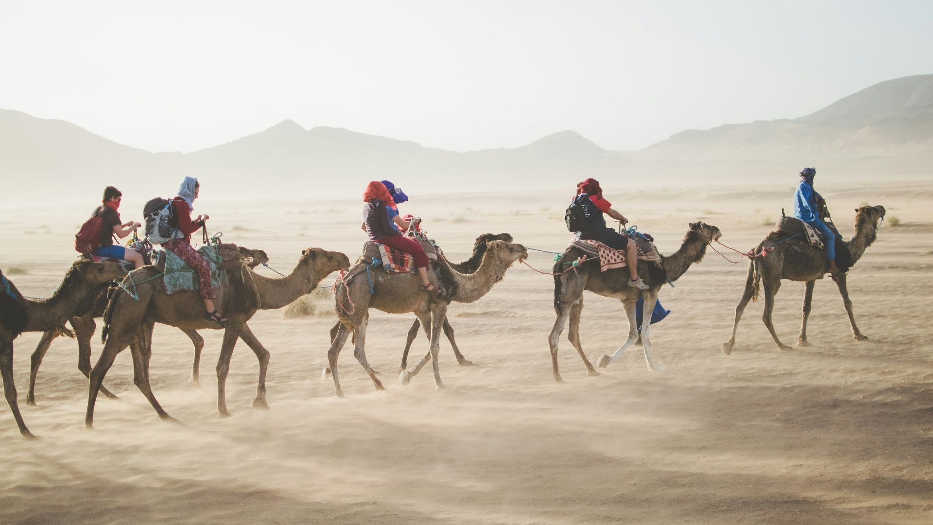 group of people riding camel on sand dune