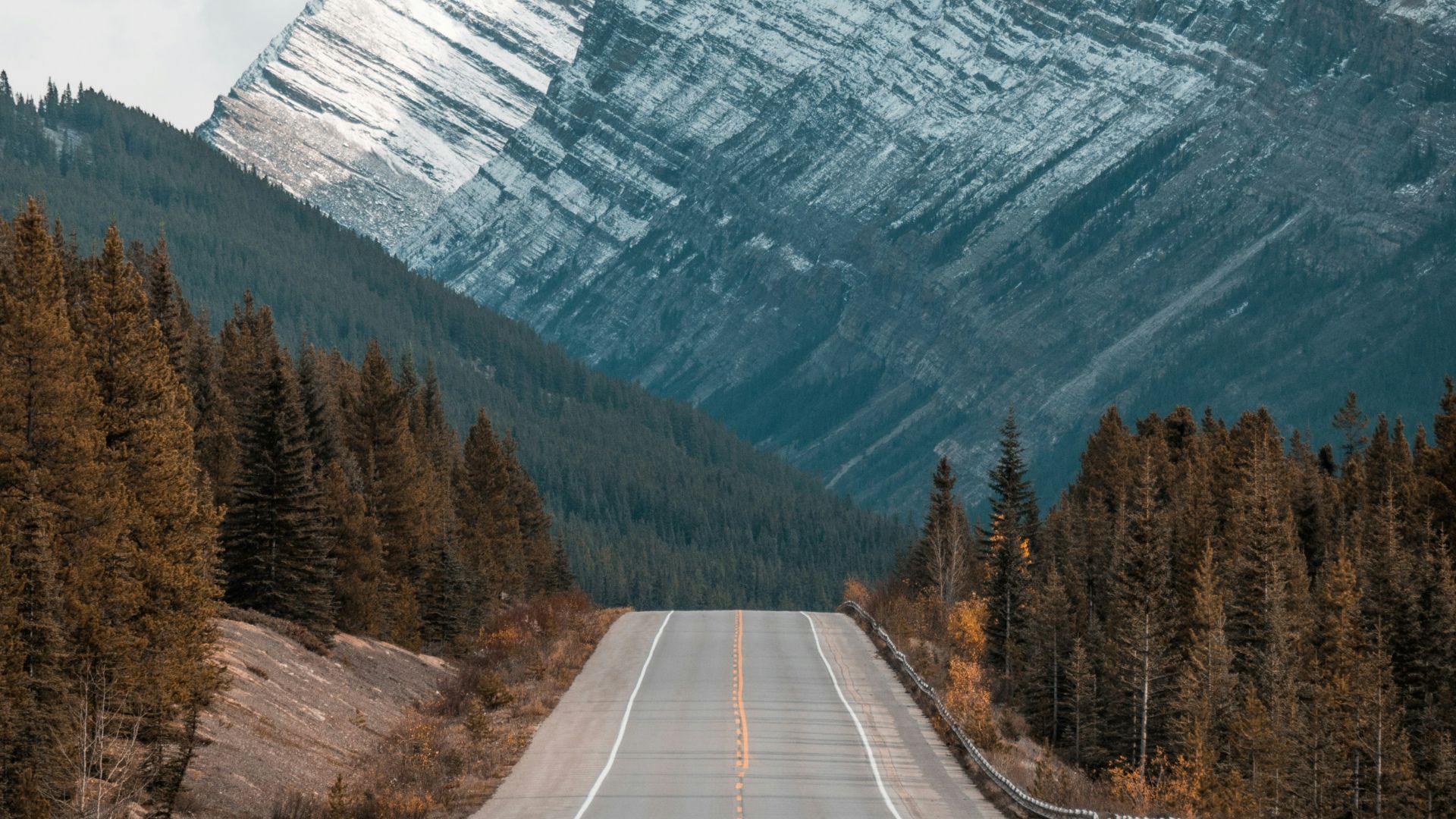 gray concrete road between trees near mountain