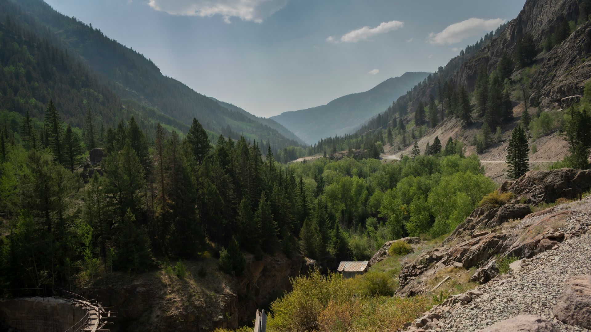 green trees on mountain under blue sky during daytime
