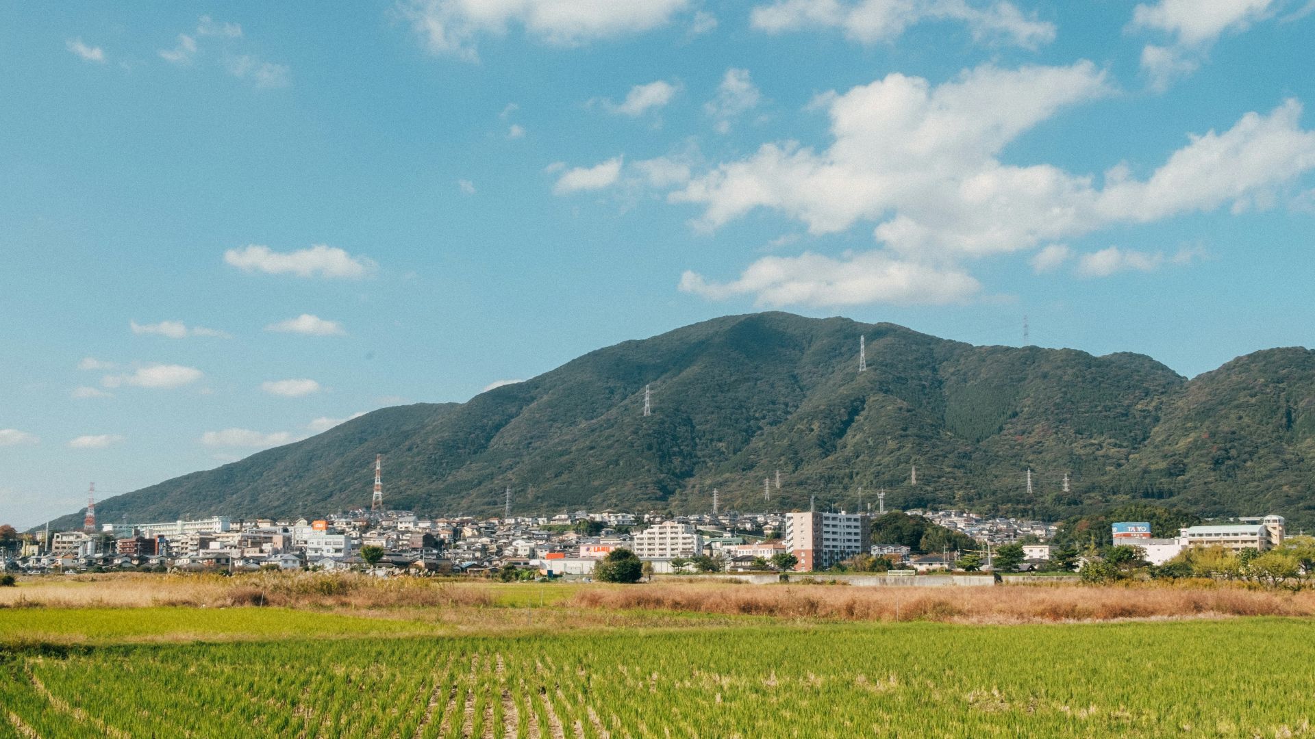 a green field with a mountain in the background