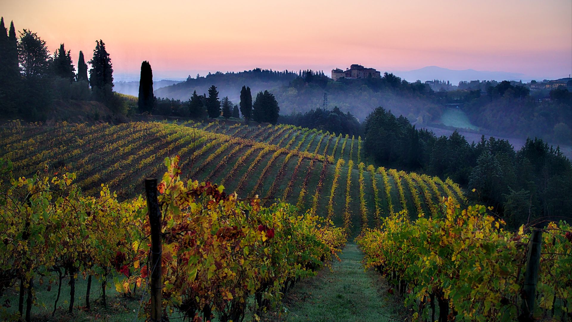 File:Vineyards in Tuscany quality image.jpg