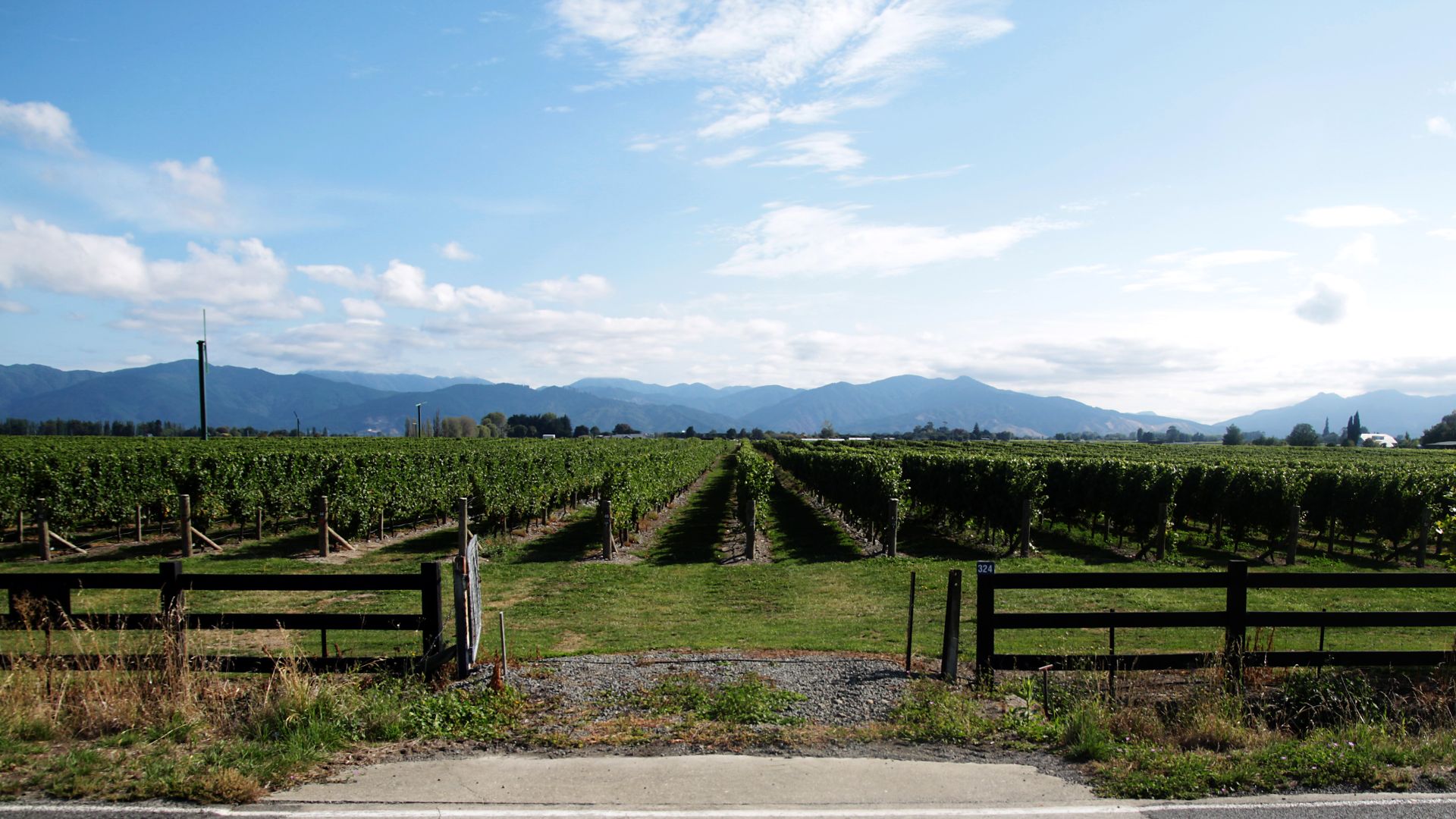 File:Parcelle Marlborough.jpg