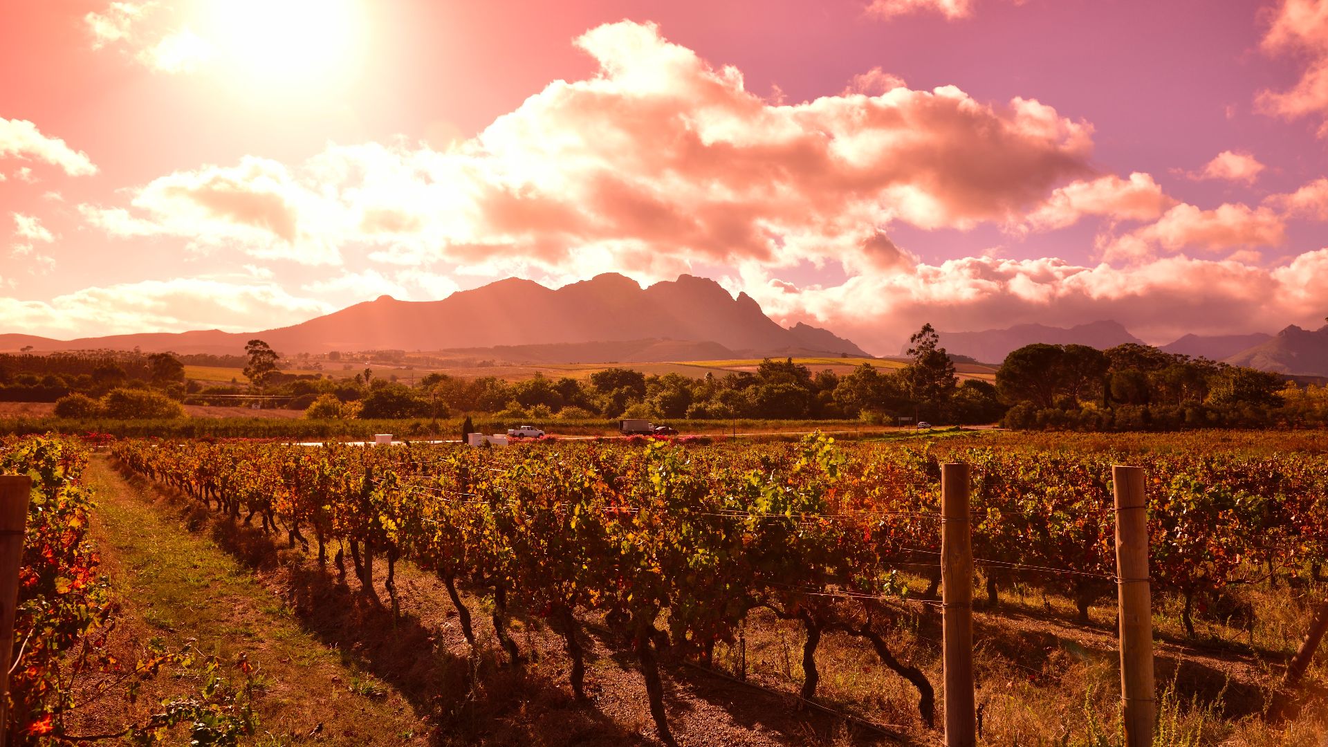 File:Stellenbosch Wine Route, Western Cape, South Africa (20506578035).jpg