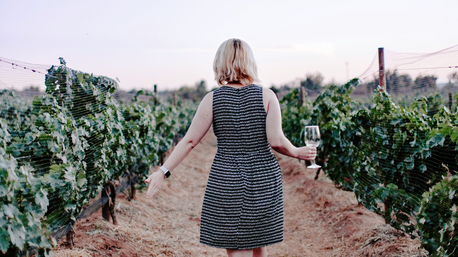 woman walking on vineyard holding wine glass