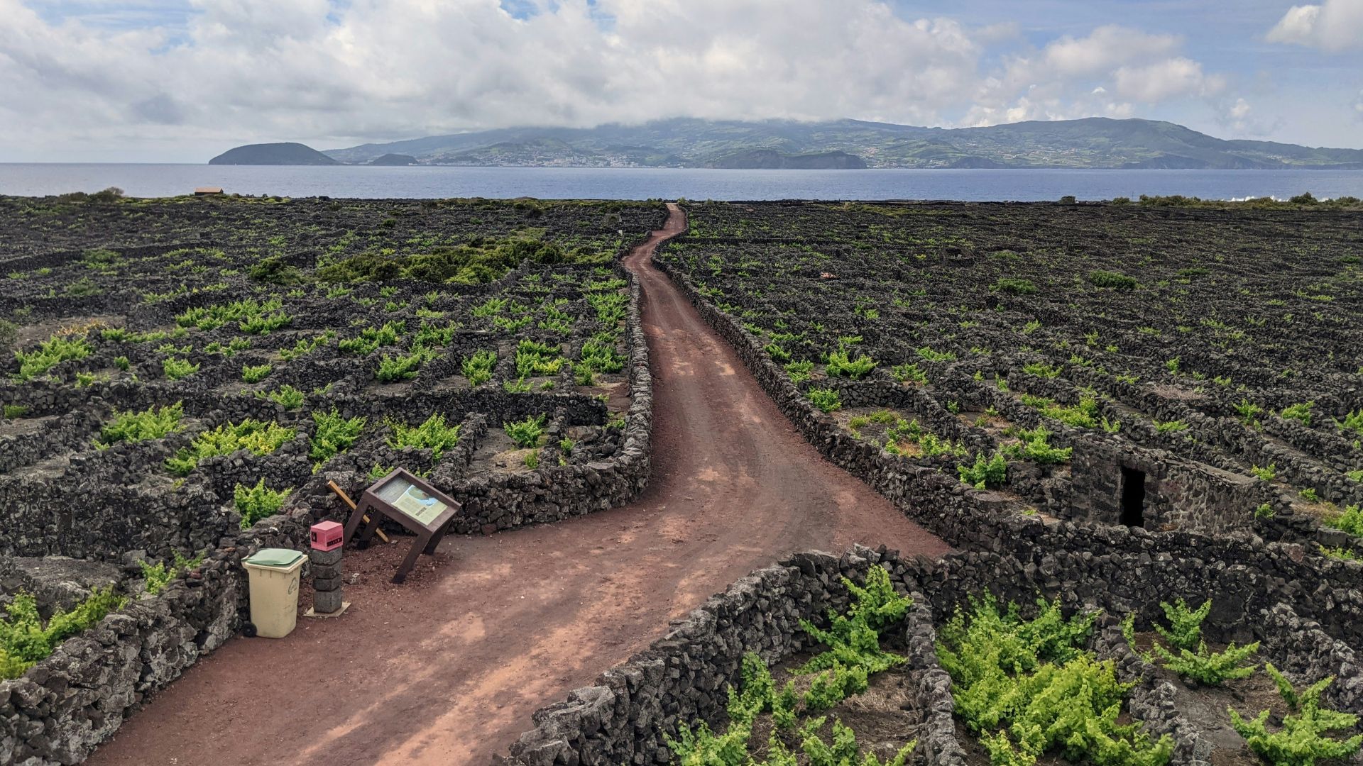 green grass field under white clouds during daytime