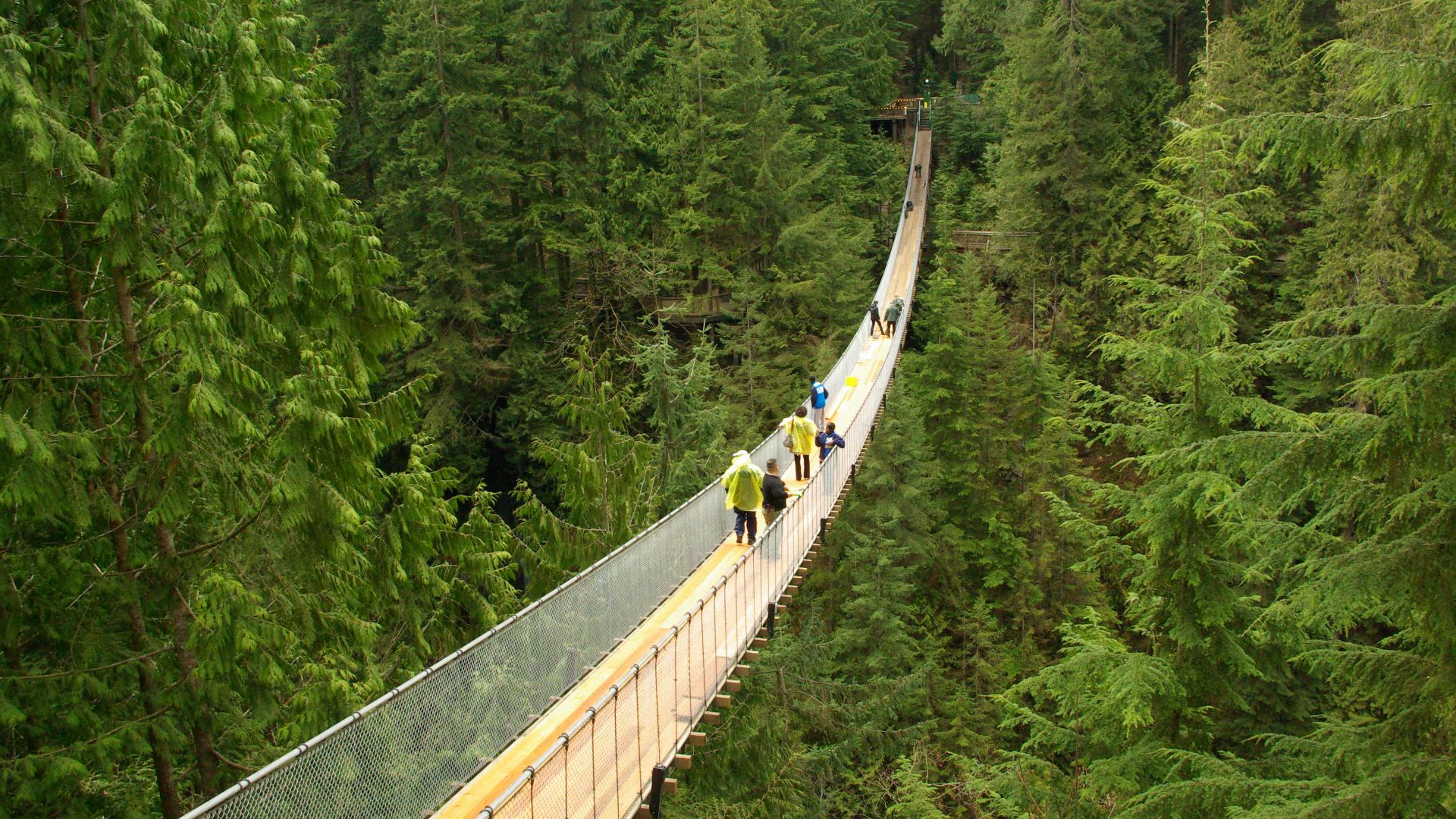 File:Capilano suspension bridge -a.jpg