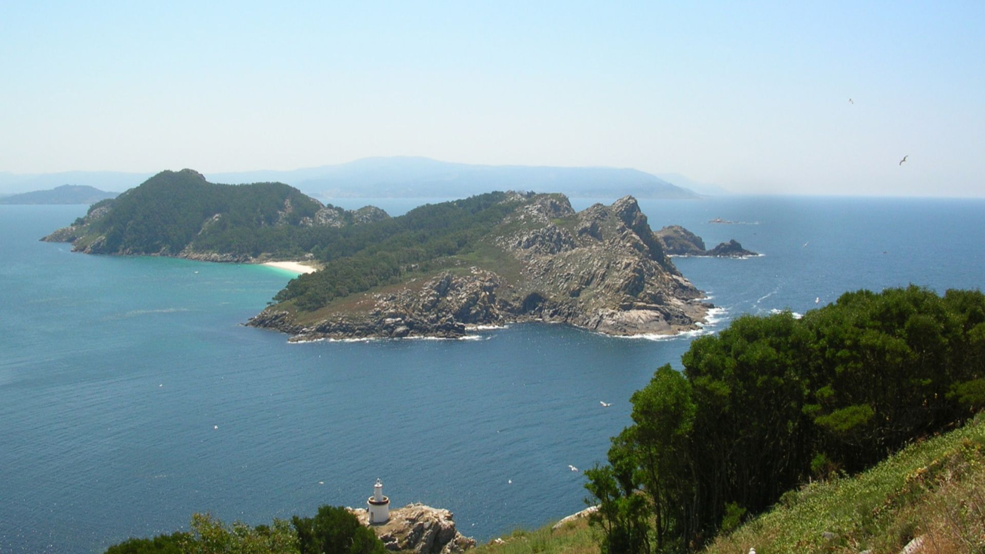 File:42862-cies.jpg