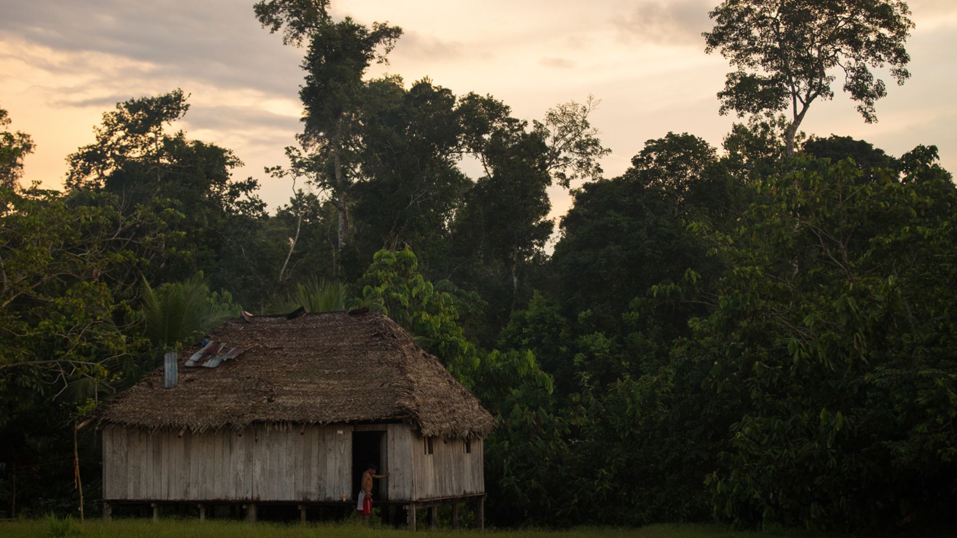 File:TI Vale do Javari - Kanamari (39786661003).jpg