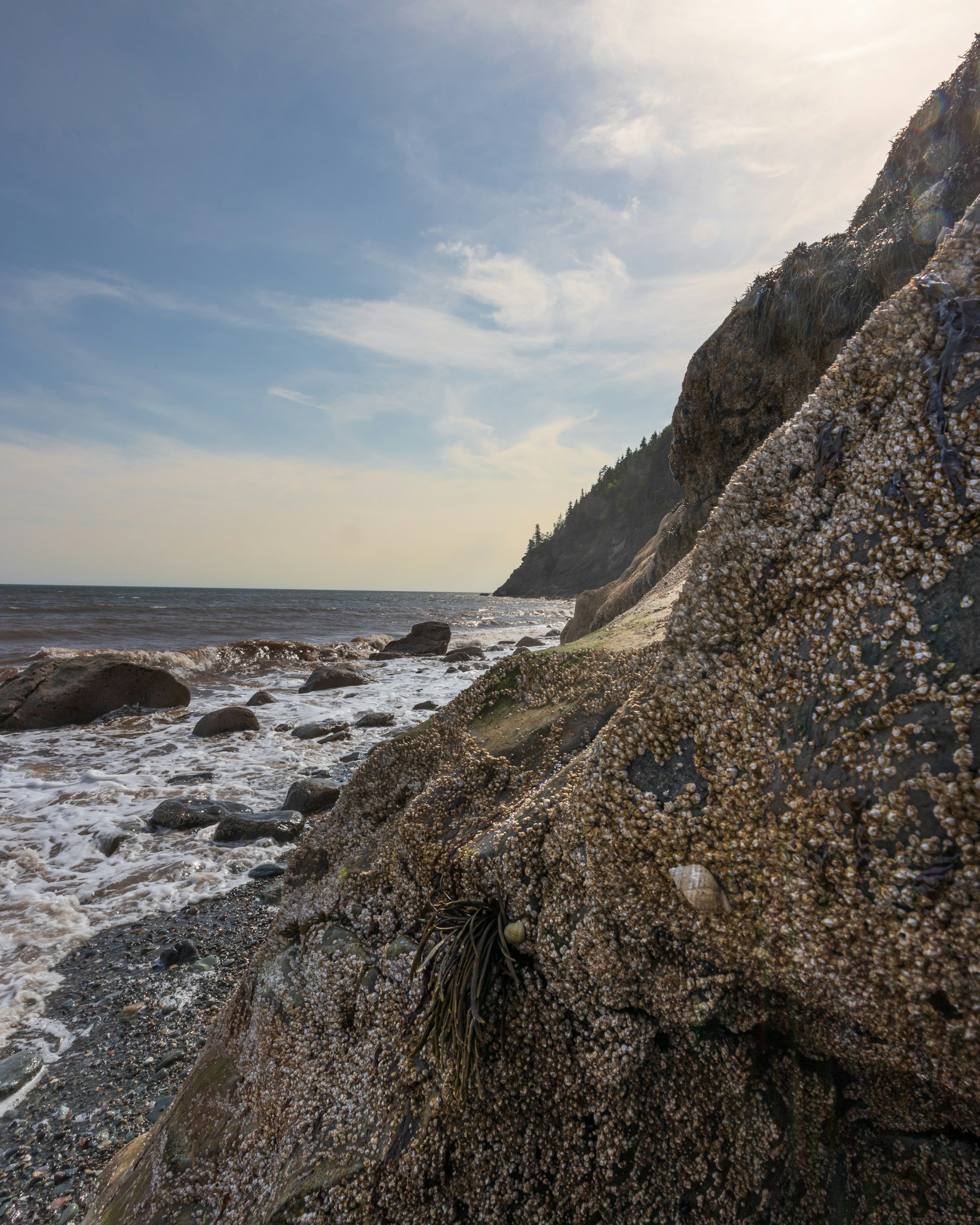 Joshua-Maillet-Unetlug Oty-Unsplash(1)