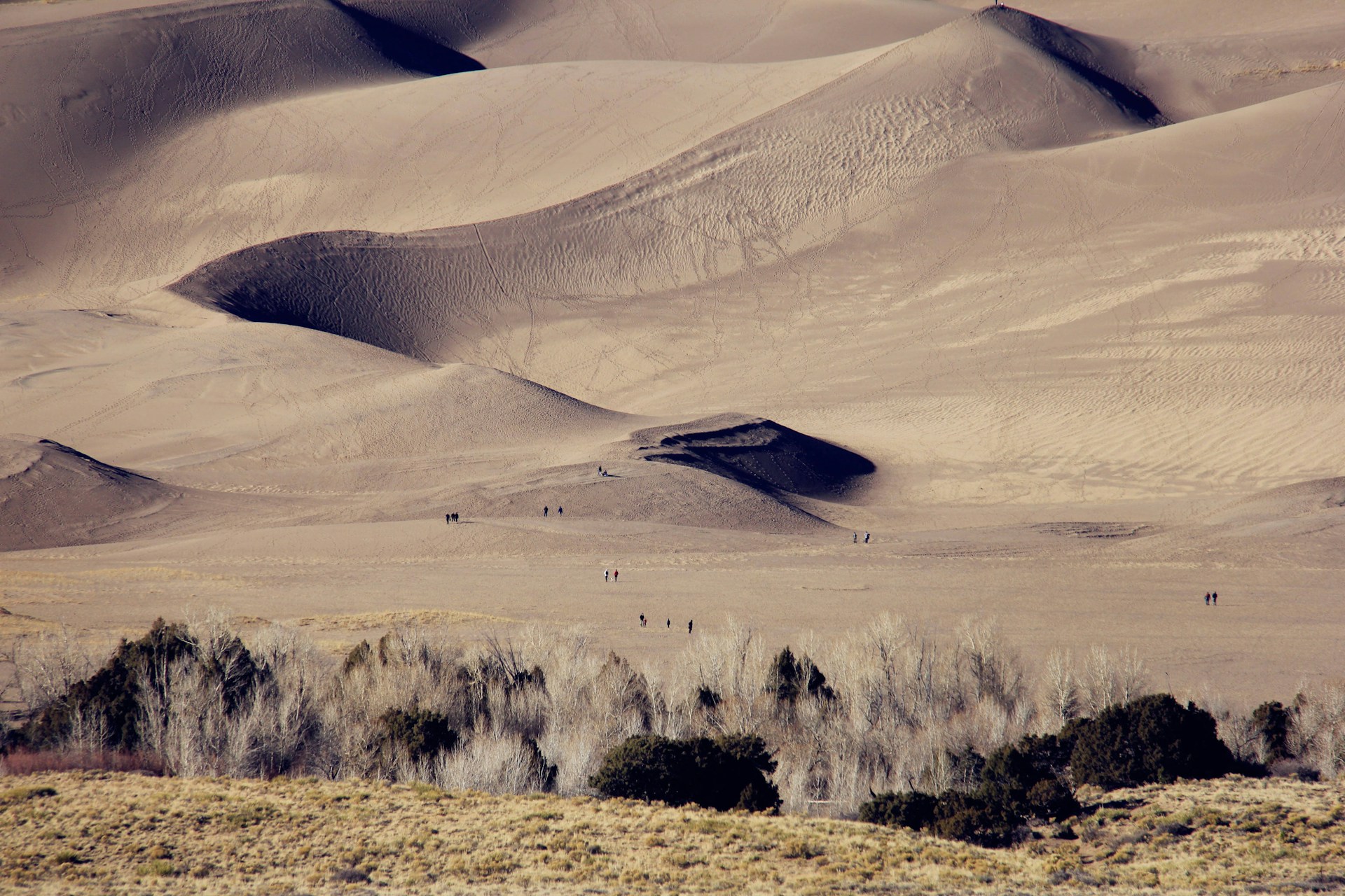 Justin-Wang-Ghjhlcast1W-Unsplash