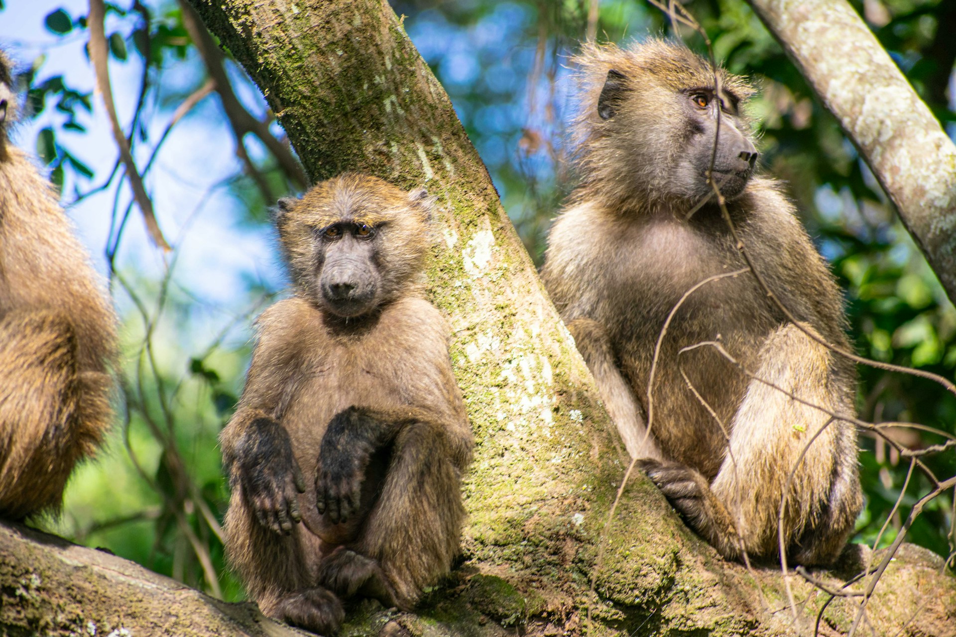 Brian-Kungu-3Ubvnqxrgty-Unsplash