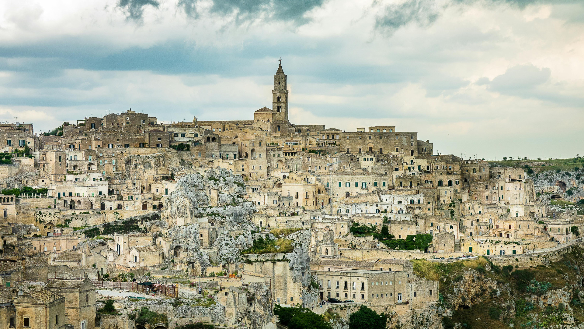 Pexels-Mike-Van-Schoonderwalt-1884800-5484024