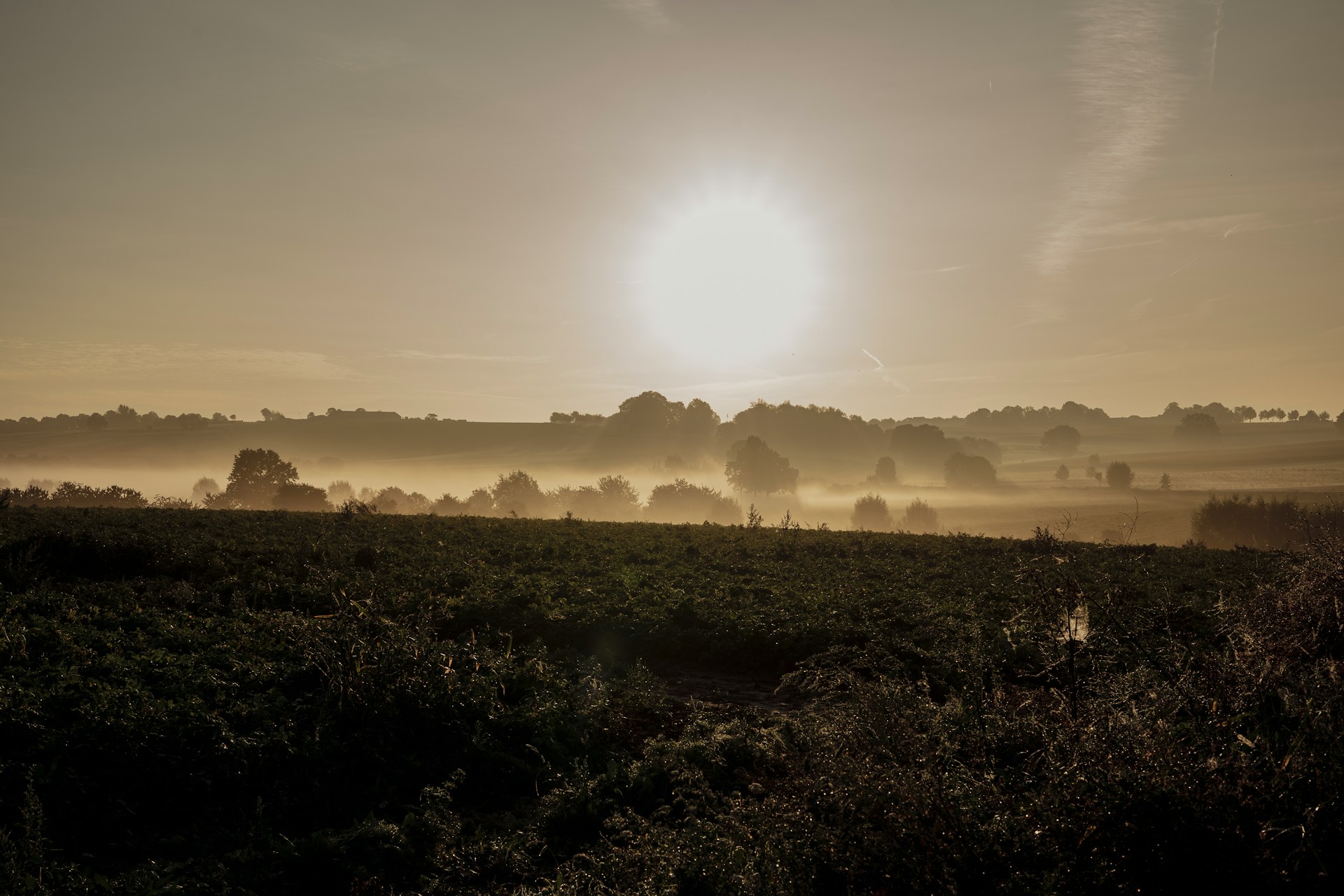 Kyra-Kleijnen-Vrwwjcdqepc-Unsplash