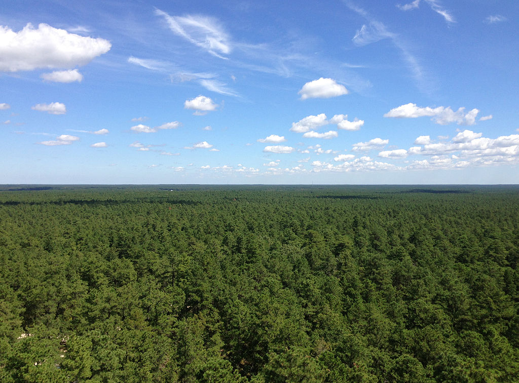 1024Px-2014-08-29 11 51 25 View North-Northeast From The Fire Tower On Apple Pie Hill In Wharton State Forest, Tabernacle Township, New Jersey