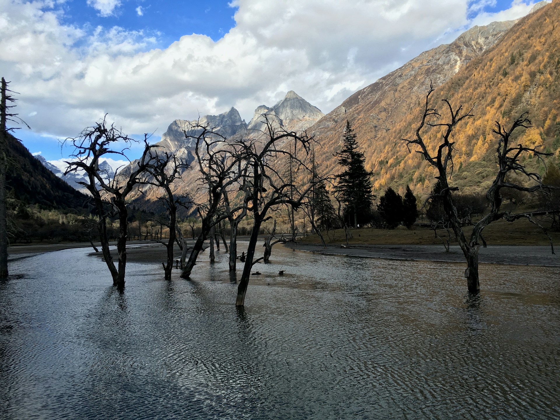 Yushan-Wang-Kwlr4L8Ojmm-Unsplash