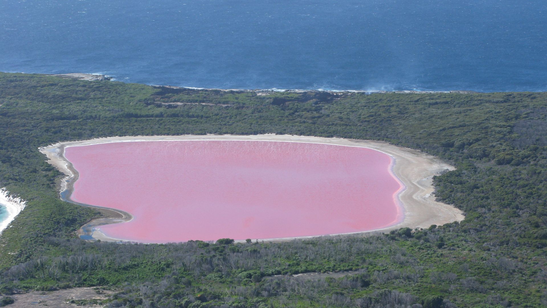 File:Lake Hillier 2 Middle Island Recherche Archipelago NR IV-2011.JPG
